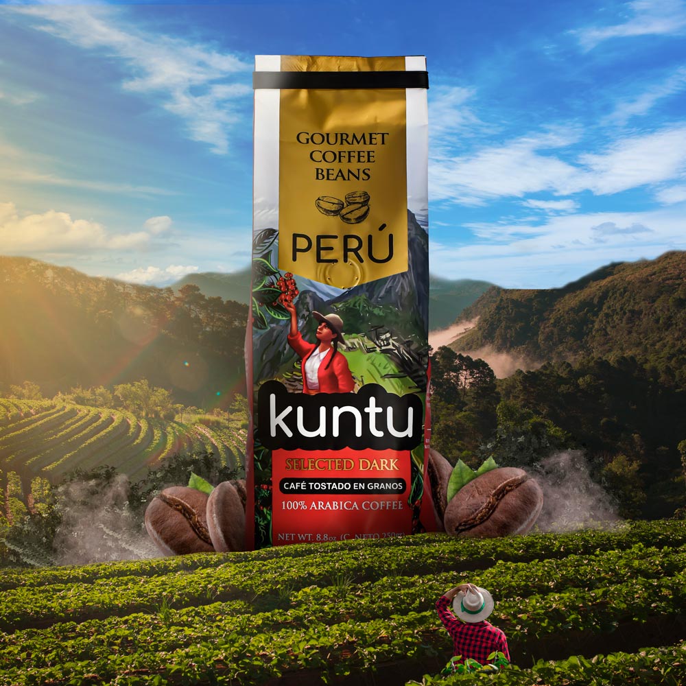 Peruvian Coffee plantation Andes - Kuntu single origin dark roast coffee Maras Gourmet UK